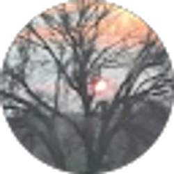 Profile photo of Carla Watkins