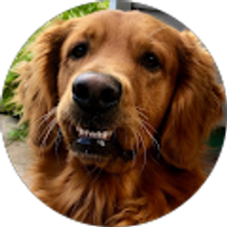 Profile photo of Bryan Hurd