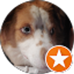 Profile photo of Sandra Simmons