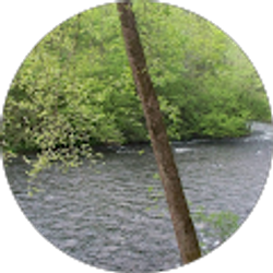 Profile photo of kat robinson