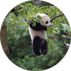 Profile photo of Pri T