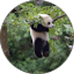 Profile photo of Pri T