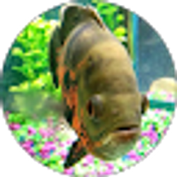 Profile photo of Aquarium Affinity
