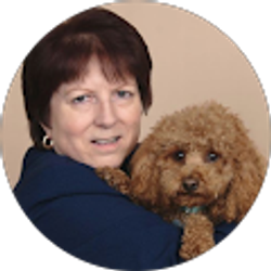 Profile photo of Michele Brenner