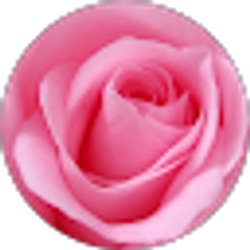 Profile photo of Dona Giesen