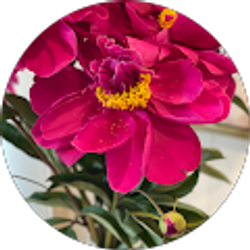 Profile photo of TerryAnn Caroline