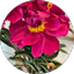Profile photo of TerryAnn Caroline
