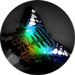 Profile photo of Cheyenne Jade