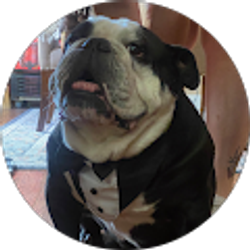 Profile photo of Christine McGlynn