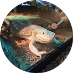 Profile photo of Joe Adams