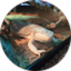 Profile photo of Joe Adams