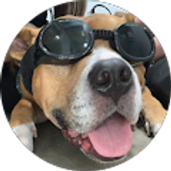 Profile photo of Erick castro