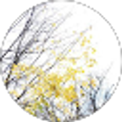 Profile photo of Chandrakanth Dudela