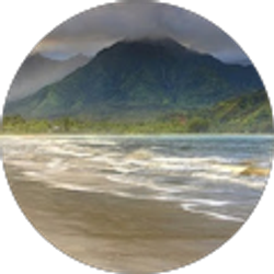 Profile photo of Kelly Johnson