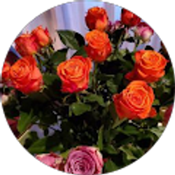 Profile photo of Shari Denson