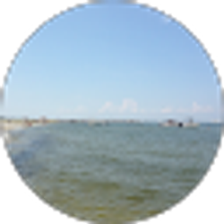 Profile photo of Russell Manning