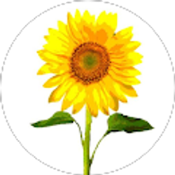 Profile photo of Monica B.