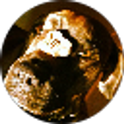 Profile photo of Third Irie