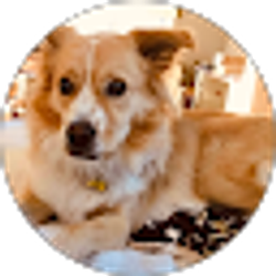 Profile photo of Karen Davenport