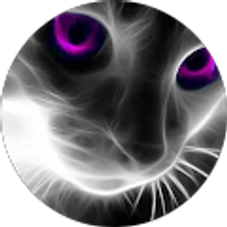 Profile photo of L elz