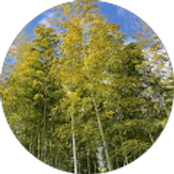 Profile photo of Bonnie Resnick