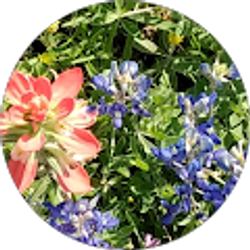 Profile photo of Shelley Titterington