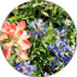 Profile photo of Shelley Titterington