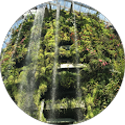 Profile photo of Hendry Limawan