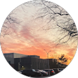 Profile photo of jinyan li