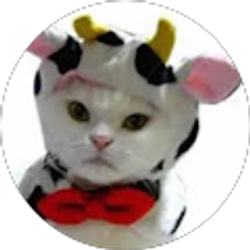 Profile photo of Pla Reh