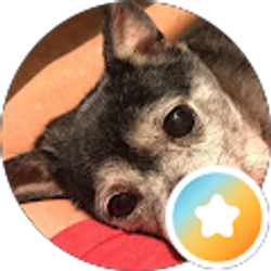 Profile photo of Winston’s mom