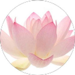 Profile photo of Chloe-Lian McIntosh