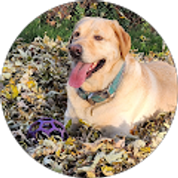 Profile photo of Nick Kobel