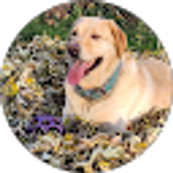 Profile photo of Nick Kobel