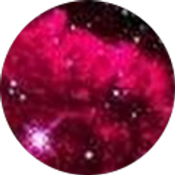 Profile photo of Nichole