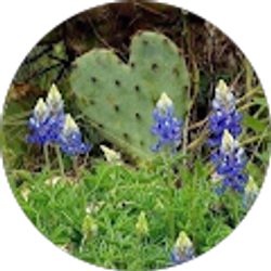 Profile photo of Juana