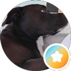 Profile photo of Dave Kelley