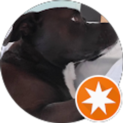 Profile photo of Dave Kelley