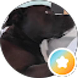 Profile photo of Dave Kelley