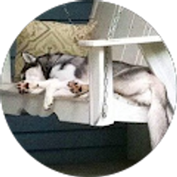 Profile photo of Tina Weaver