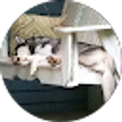 Profile photo of Tina Weaver