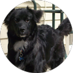 Profile photo of Holly Linville