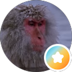 Profile photo of Cole Maxwell