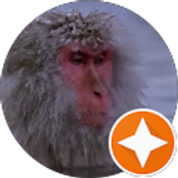 Profile photo of Cole Maxwell