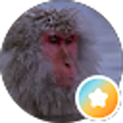 Profile photo of Cole Maxwell