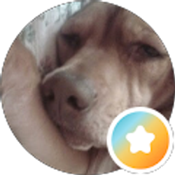 Profile photo of Nancy Cosner