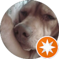 Profile photo of Nancy Cosner