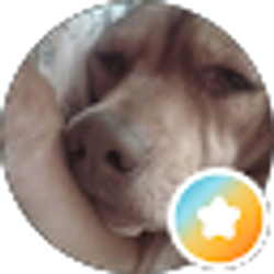 Profile photo of Nancy Cosner