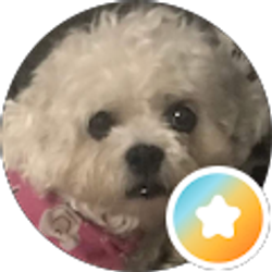Profile photo of Deanna Johnson