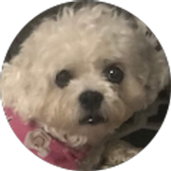 Profile photo of Deanna Johnson